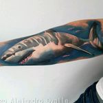 #shark #realismanimaltattoo #tattoo #tattoo_artist #diegoalejandroovalle
