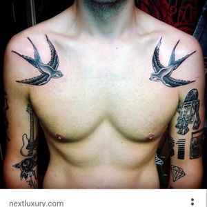 Thinking about getting sparrows next