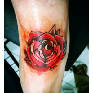 #rose #red #brasil #blood #Sweron