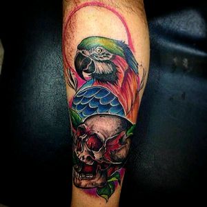 Skull&Parrot neotrad. Work in progress. By Mirko Di Pompeo from Sanremo, Italy #skull #skulltattoo #neotraditional #neotrad #parrottattoo #parrot #colour #ink #inked #tattoo #artist