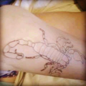 The beginning stage of my first BIG tattoo. Proud to be a Scorpio (plus I think scorpions are pretty neat)