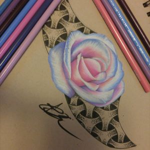Thanks for looking, liking and supporting! #realism #surrealism  #rose #rosetattoo #dotwork #dotwork #prismacolos  #tattedup #inkedup #madeindetroit #tattoos #tattoo #tat #ink #inked #tattooed #tattooist #art #design #instaart #instagood #photooftheday #tatted #instatattoo #bodyart #tatts #tats #amazingink
