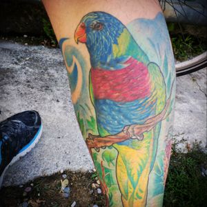 #rainbow #lorikeet #tattoo by Angelo Netto (Italy)