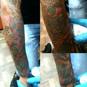 Cover-up koi