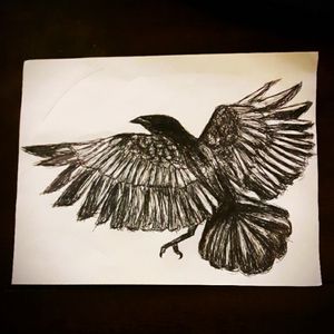 Raven sketch #sketch #design #raven