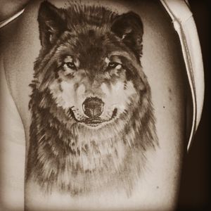 #wolf #shoulder