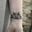 My next tattoo