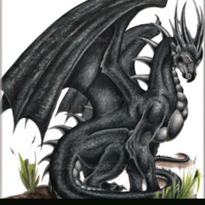 #meagandreamtattoo I would love to have something like this on my shoulderblade area!  A strong, feminine looking dragon guarding 2 eggs ( me and my kids), with a night time/ galactic background, maybe?