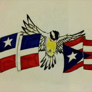 Puerto Rican Spinaldis with the first and current Puerto Rican flags #megandreamtattoo