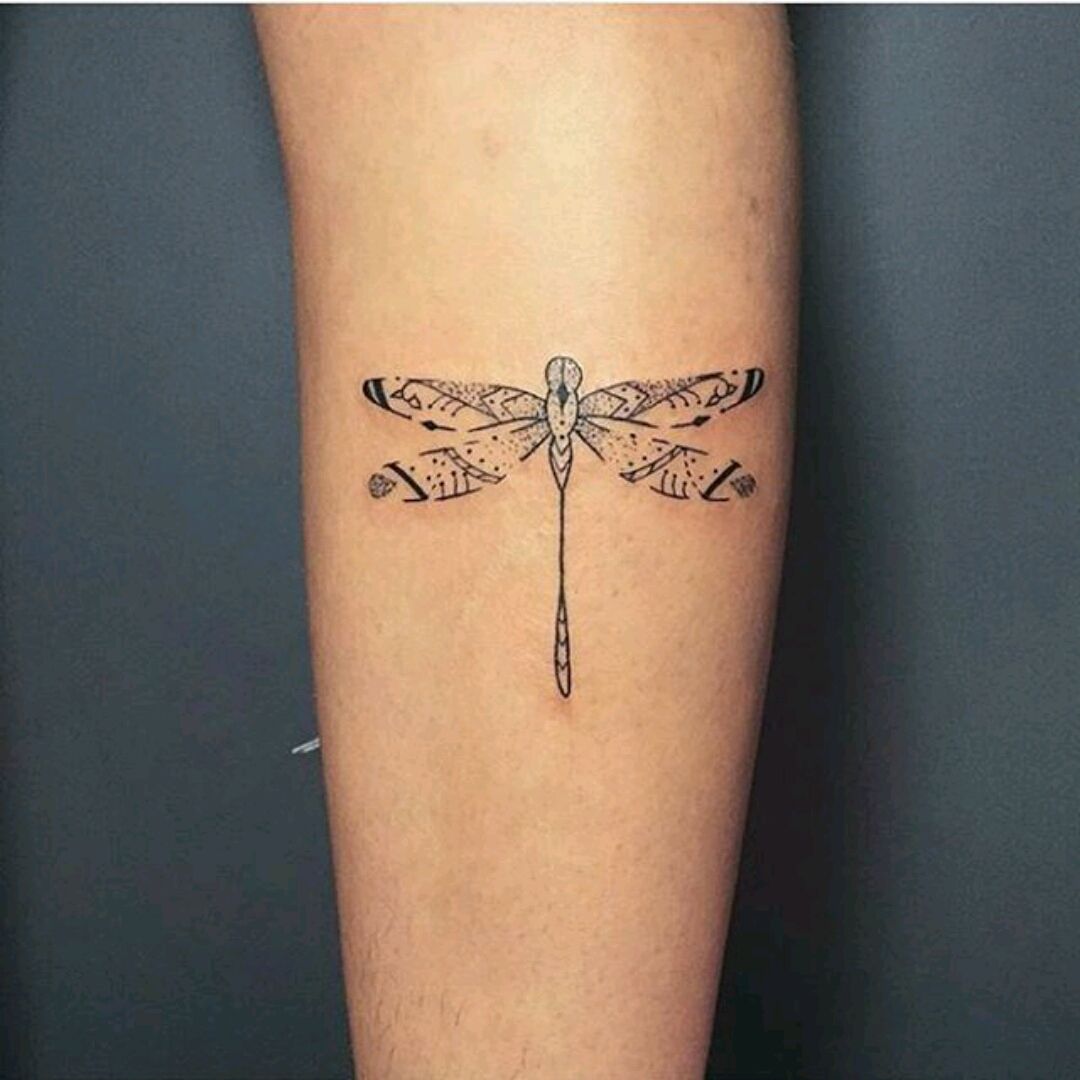 tiny dragonfly tattoo ideasTikTok Search
