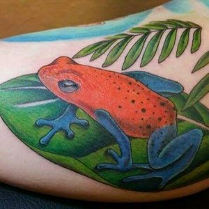 #strawberrypoisondartfrog #frog #leaf