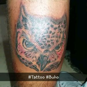#Tatto #Buho
