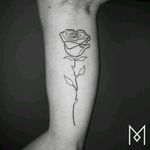 #rose #justlines #tattoo #moganji #blackwork