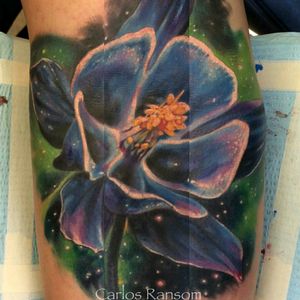 My first columbine done about a year ago. It's a cover up of an old tattoo.