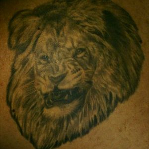 #lion_tattoo I want to complement this tattoo, I hear tips #realismanimaltattoo #complementary #tattoo