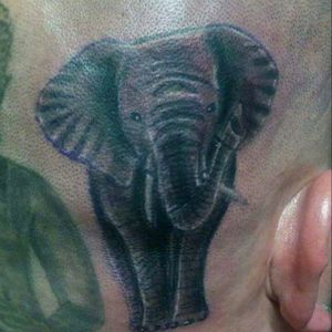 Elephant on the head