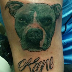 This guys dog i did on his arm