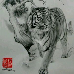 Tiger Standing Still. #megandreamtattoo #iwantthis #iwantthisonme #tigertattooidea