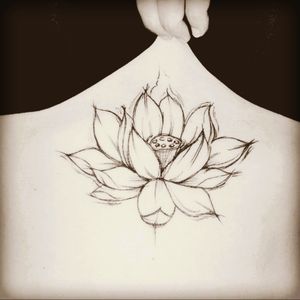 Lotus sketch tattoo by Trashcore