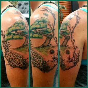 Bonsai and succulent tattoo