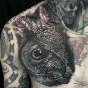 #Black #blackandgray #owl #owlandskull  #owlart #forest #chest #tattoo #dreamtattoo #grey #epic #fineline #finelineblackandgrey #detailed #blackwork #brasil #animal #animalhead