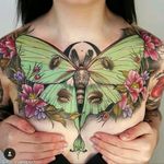 Stunning chest piece #lunamoth would love a luna moth in my side / back #megaandreamtattoo