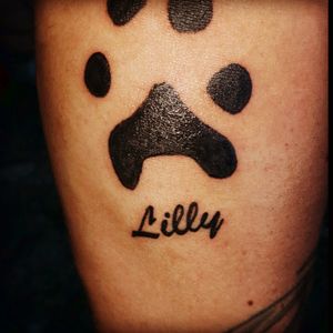 Our family member of 13 years passed away recently. We have her paw print to remember her by.