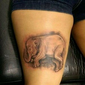 Feto de elefante de Pablo Xno , parte de atrás de pierna