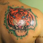 #tiger #tattootiger #tatuadorescolombianos
