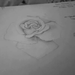 Started a while ago... never finished, still need to work on my roses #rose #rosedesign #rosework #feminine #faint #practice #gettingthere #tattoodesign #rosetattoo