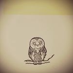 #owl #old_school