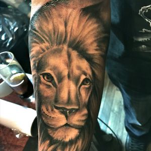 #lion #tattoo #lionhead #blackandwhite