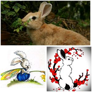 #megandreamtattoo #rabbit #pet #memorial #rainbowbridge #virginskin I'd love to have a tattoo of my sweet bunny besty Toffie. She passed away last year at the ripe old age of 10. I'd like to combine the sketch my friend did (right bottom) with Pookie (left, character from my mom's childhood book) and sweet peas for my grandfather's garden that first he, then my bunny loved so much.