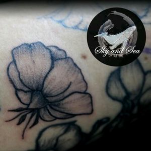 Ilustración botánica #botanicaltattoo #tattoblack #illustration #sea #sky #colombiaink  #line #black #pepper