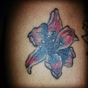 National flower (Fleur de lise) tattoo I got in Paris in national colors