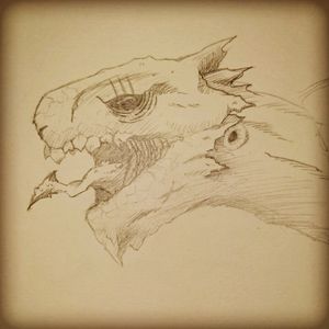 #turtle #drake #dragon #design #draw #drawing  #dessin #sketch #croquis #Tortue