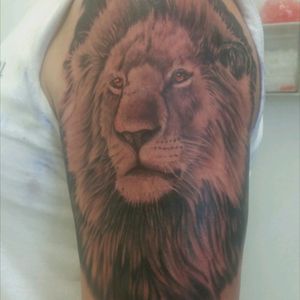 There's the second. Razored also by "heavenly pain", Lünen,  Germany,three days ago on Oct. 04.2016It's my Zodiac sign. I love this animals.#blacandgrey #lion_tattoo #upperarm  #animals