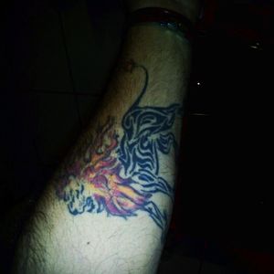 My Fire lion ;) First tattoo I'got