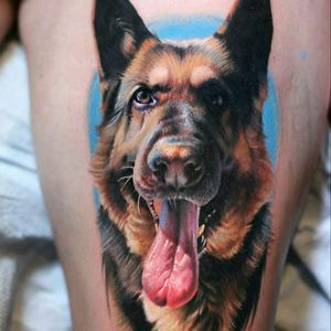 #tattoodo #dog #tattoo #color #colorful #hyperrealism #hyperrealistic #realism #realistic #animal #animalhead #dogbowl #dogface #doglover #doglovers #doglovertattoo #dreamtattoo #megandreamtattoo #nextleveltattoo #colorbomb #inked4life #addicted #tattooed #tattoos #animalart #art #tattooart