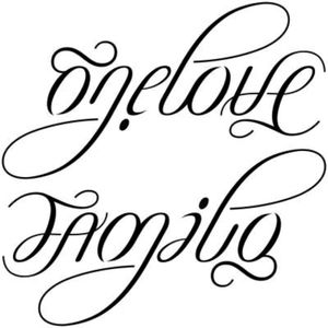 I love this ambigram of family one love.