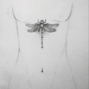 This tattoo is one I designed myself, have yet to perfect it, tweak a few things. The whole idea should be very geometric and abstrahised. #megandreamtattoo #dragonfly #blackwork #geometric #underboob #owndesign