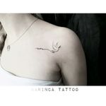 Peace pigeon instagram.com/karincatattoo  #peace #pigeon #collarbonetattoo #collarbone #girltattoo