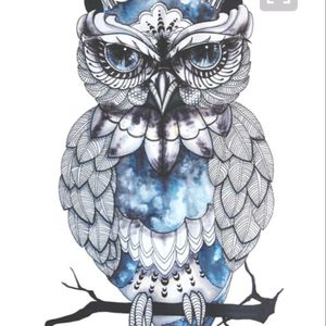 This is an idea for my next piece.  Owl inspired 1/4 sleeve #megan_massacre #MEGANDREAMATTOO #tattoodocontest