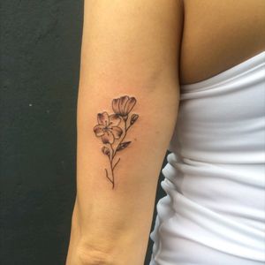 #tattoo #finelinetattoo #sakura #flordecerejeira #sakuratattoo #black #ink #tracofino #stephanieumeda #zonasul #011 #brasil #tattoodo #inked #tattooideas