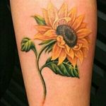#Sunflower ❤😍.