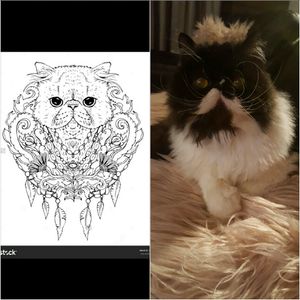 My exotic persian cat 'Puffin'I would love this to be on my right leg on thigh or an upper arm, and the artist to do it (none other than) Megan Massacre 💖#megandreamtattoo