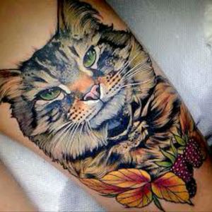 #megandreamtattooBut of my cat, not this one