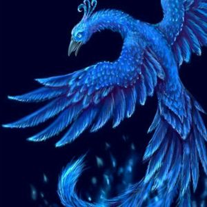I would love a phoenix. Like many others, I love the idea of rebirth abd rising from the ashes and, without going into too much detail, I believe the concept applies to me perfectly. She's got to be beautiful, graceful, and powerful, sporting the colors blue, purple, and pink, and well done. I'd love to place it on a leg, arm, or ribs. #megandreamtattoo