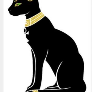 I'd make some changes, but Bastet is basically the main figure. For as simple as it can look, for me, there's a lot of meaning behind this tattoo. #megandreamtattoo