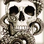 I love octopus and skulls, how badass is this #meganmassacre ? You do some kickads skulls. #megandreamtattoo